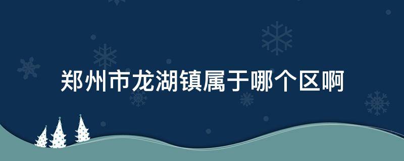 郑州市龙湖镇属于哪个区啊 郑州龙湖镇属于那个区的
