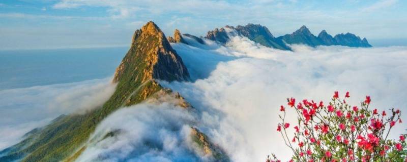 灵山的由来 灵山县地名由来