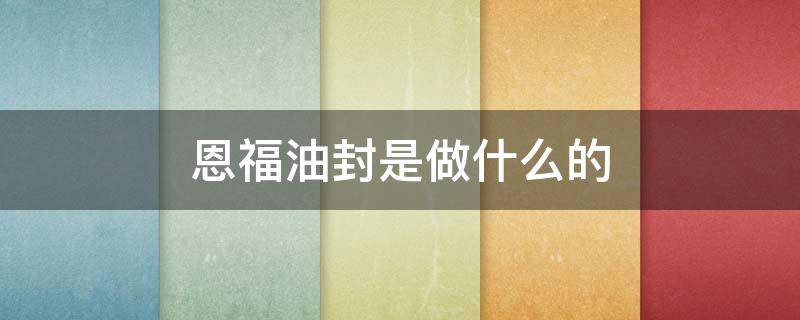 恩福油封是做什么的（无锡恩福油封是做什么的）