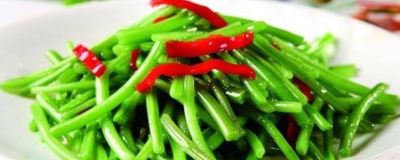 红薯竿子怎么炒（红薯杆儿怎么炒）