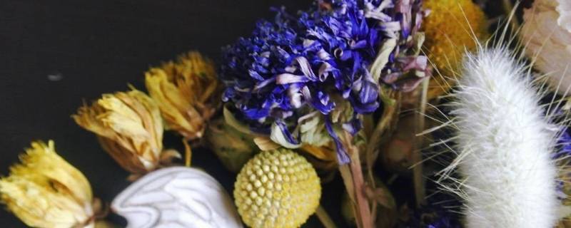 干花买回来怎么处理（干花买回来怎么处理掉）