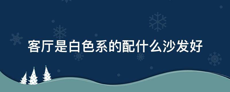 客厅是白色系的配什么沙发好（客厅是白色系的配什么沙发好看）