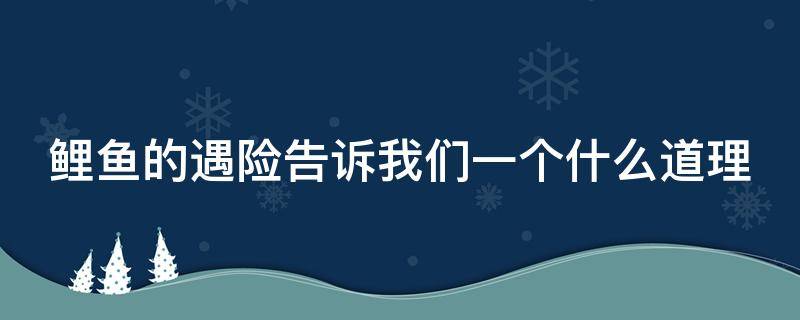 鲤鱼的遇险告诉我们一个什么道理（鲤鱼的遇险告诉我们答案）
