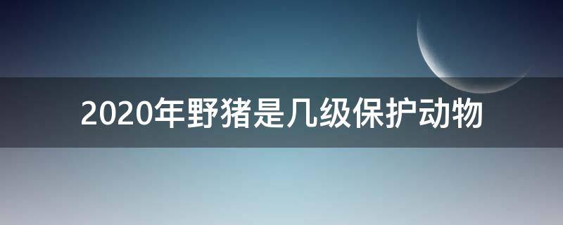 2020年野猪是几级保护动物（野猪哪一年列入保护动物）