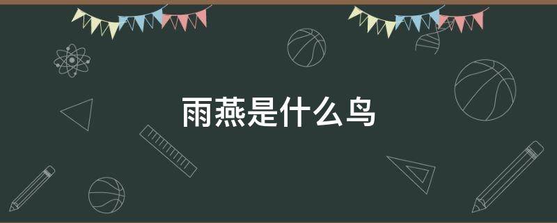 雨燕是什么鸟（雨燕鸟象征什么）