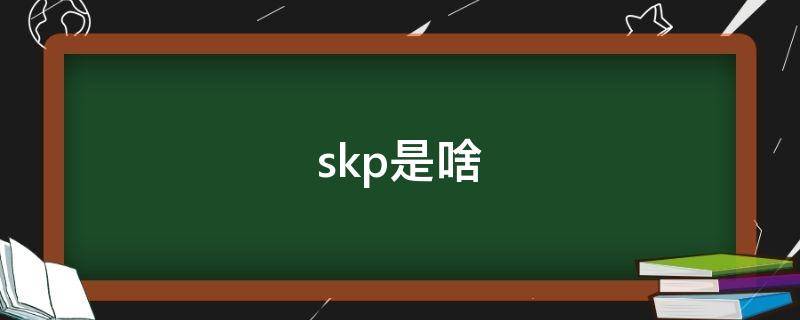 skp是啥（skp是啥意思啊）