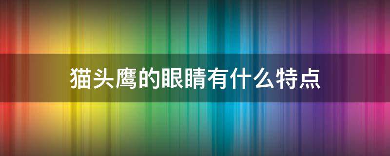 猫头鹰的眼睛有什么特点（猫头鹰的眼睛有什么特点和功能）