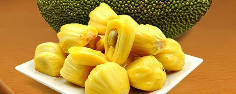 菠萝蜜中间的柱子发黑还能吃吗 菠萝蜜中间柱子黑了还能吃吗