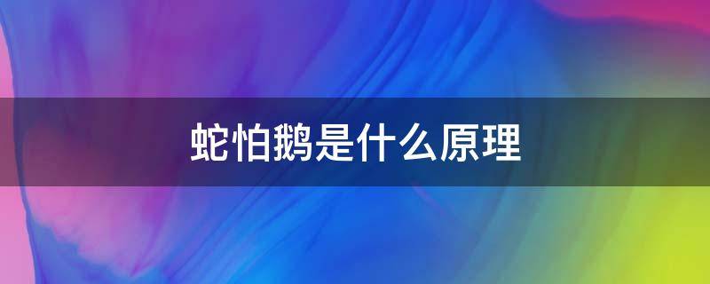蛇怕鹅是什么原理（蛇为什么会怕鹅?）