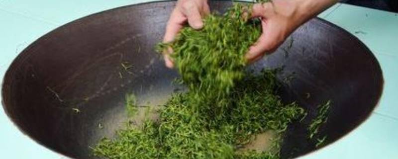 炒茶怎么存放（炒茶怎么存放时间长）