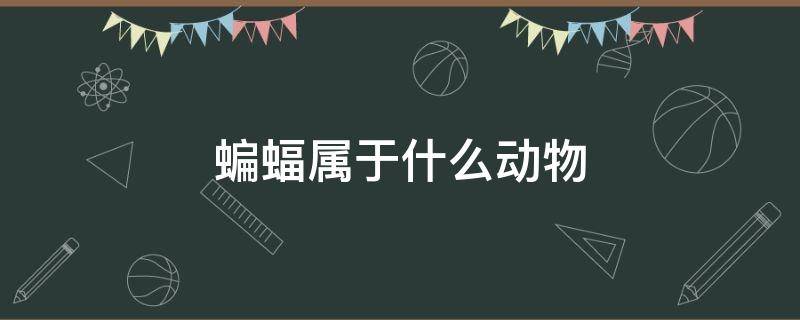 蝙蝠属于什么动物 蝙蝠属于什么动物中的艺术
