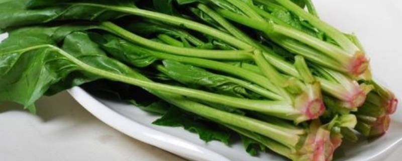 菠菜青炒怎么炒（青菜炒菠菜的做法）