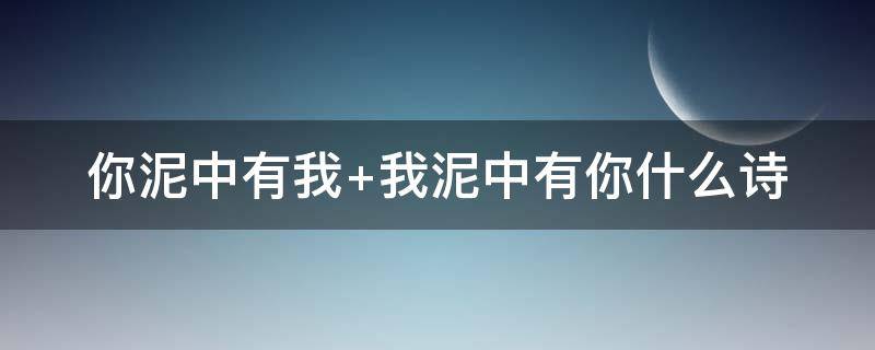 你泥中有我（我泥中有你你泥中有我）