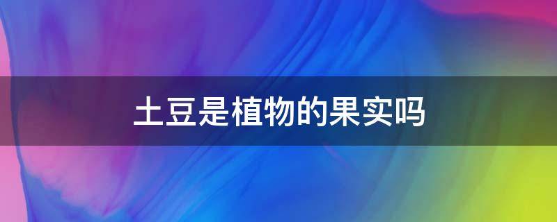 土豆是植物的果实吗（土豆是植物的果实吗为什么）