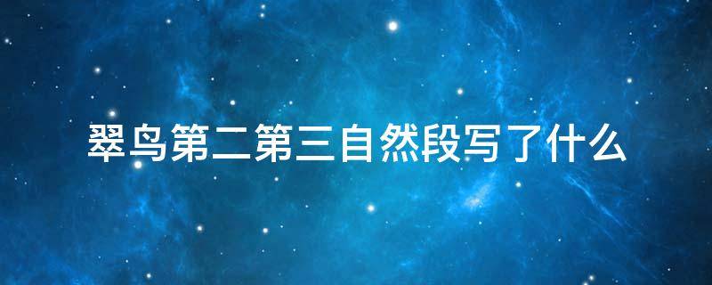 翠鸟第二第三自然段写了什么 翠鸟第二自然段主要写了翠鸟的什么