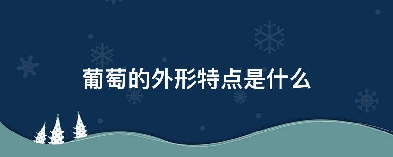 葡萄的外形特点是什么 介绍葡萄外形特点