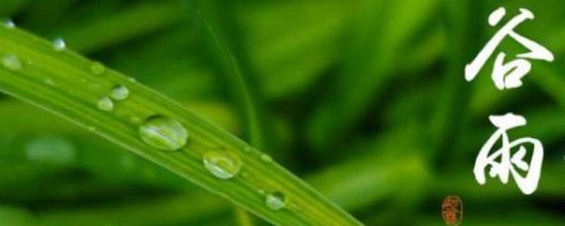 谷雨的由来 谷雨的由来20字