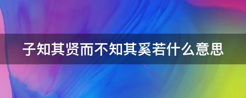 子知其贤而不知其奚若什么意思 奚以知其也翻译