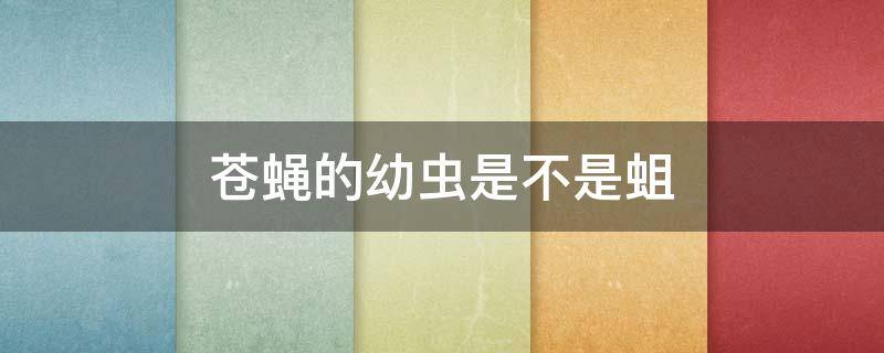 苍蝇的幼虫是不是蛆 苍蝇的幼虫是不是蛆图片