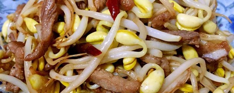 黄豆芽炒肉丝怎么做（黄豆芽炒肉丝怎么做的）