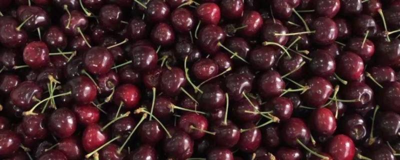 copefrut车厘子是哪个国家的
