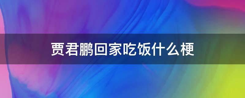 贾君鹏回家吃饭什么梗