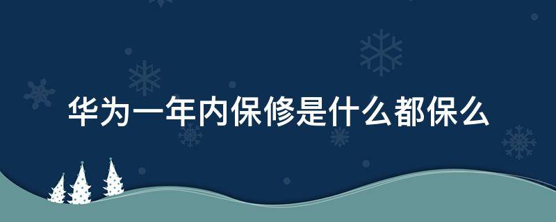 华为一年内保修是什么都保么 华为保修期内都保什么