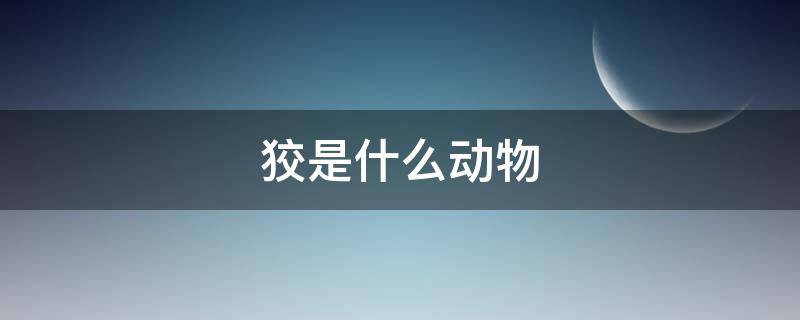 狡是什么动物 狡是什么动物生肖