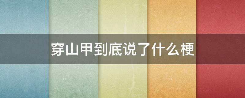 穿山甲到底说了什么梗