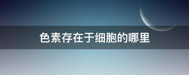 色素存在于细胞的哪里（细胞中的色素）
