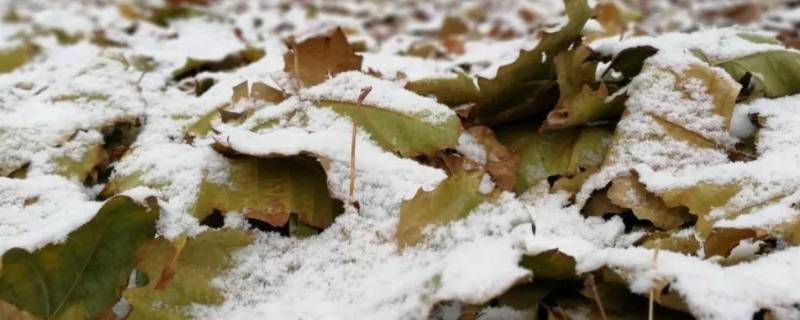 三级寒潮是预警中的几级（寒潮的三级预警信号分别是）
