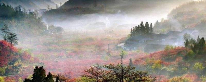 六春湖在哪里（衢州六春湖在哪里）