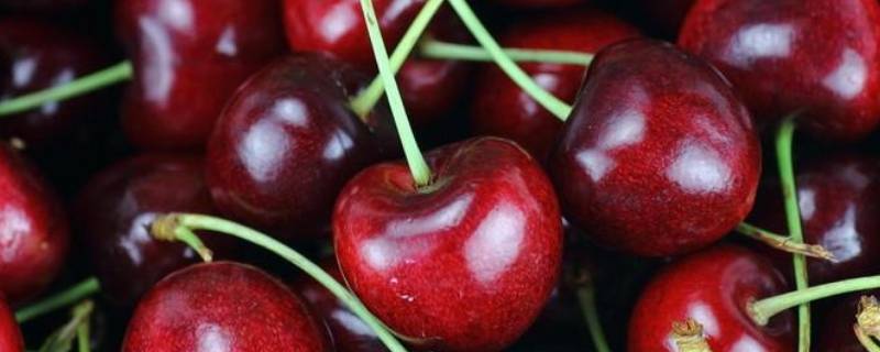 车厘子盒子上的标签怎么看（车厘子包装盒没有标签）