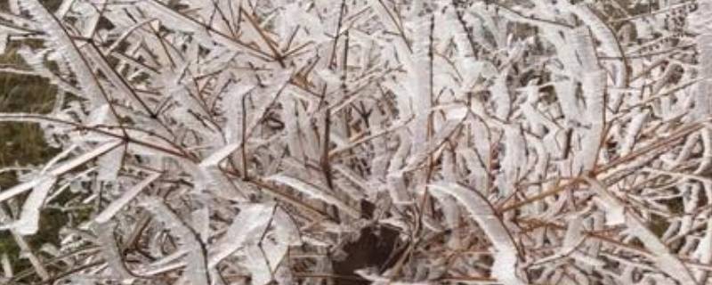 凝冻影响高铁吗 冻雨高铁受影响吗