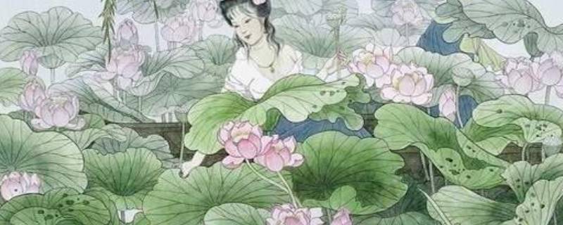 采莲曲的芙蓉是指 采莲曲的芙蓉是指什么意思