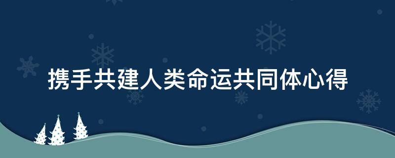 携手共建人类命运共同体心得（携手共建人类命运共同体心得800）