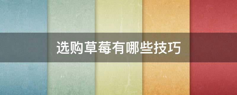 选购草莓有哪些技巧（选购草莓有哪些技巧视频）