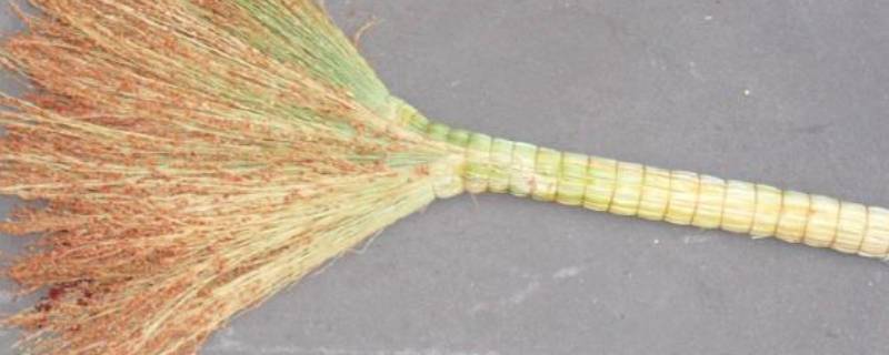 劳动工具有哪些 劳动工具有哪些图片