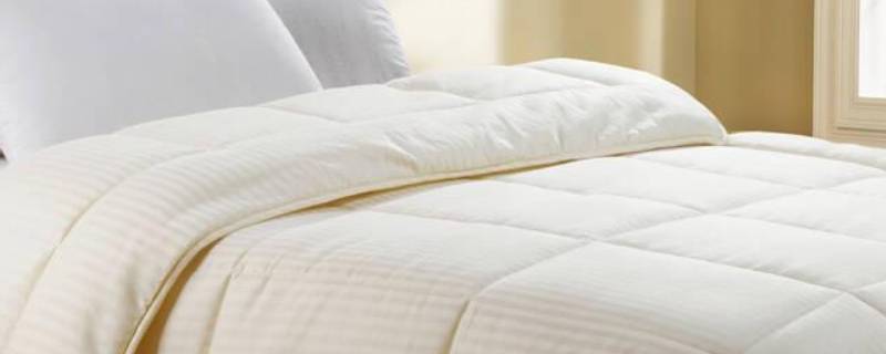 大豆被是什么填充物（大豆被是什么填充物图片）