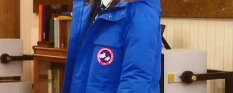 大鹅羽绒服是鹅绒还是鸭绒（大鹅羽绒服到底是鹅绒还是鸭绒）