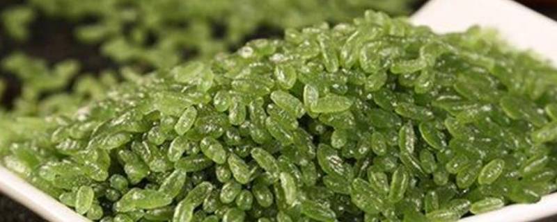 超市里卖的绿色的米是什么（超市里卖的绿色的米是什么米啊）