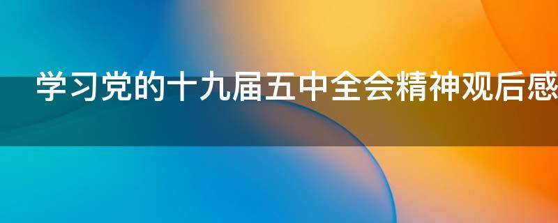 学习党的十九届五中全会精神观后感
