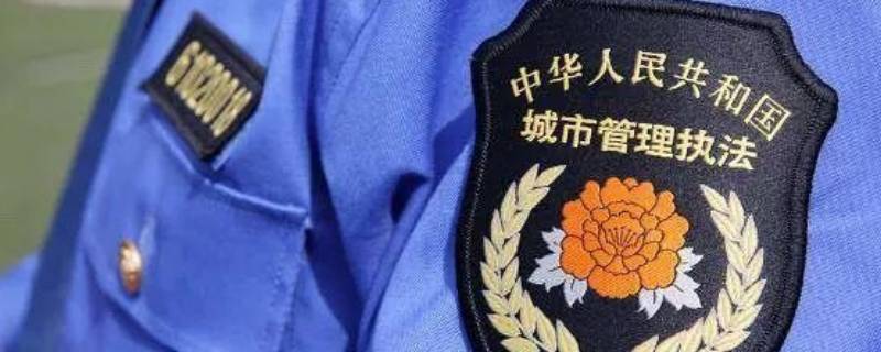 2020年城管个人总结范文 2020年城管局个人总结