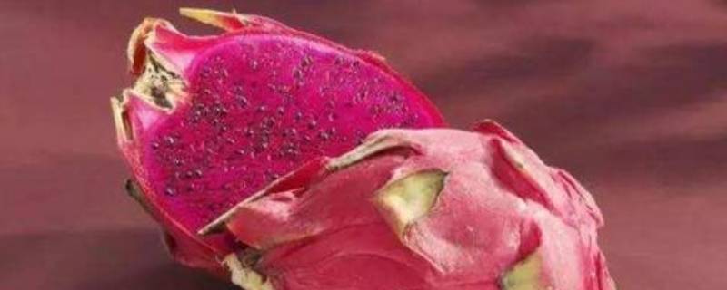 火龙果种子发芽了能吃吗（火龙果种子发芽了能吃吗有毒吗）