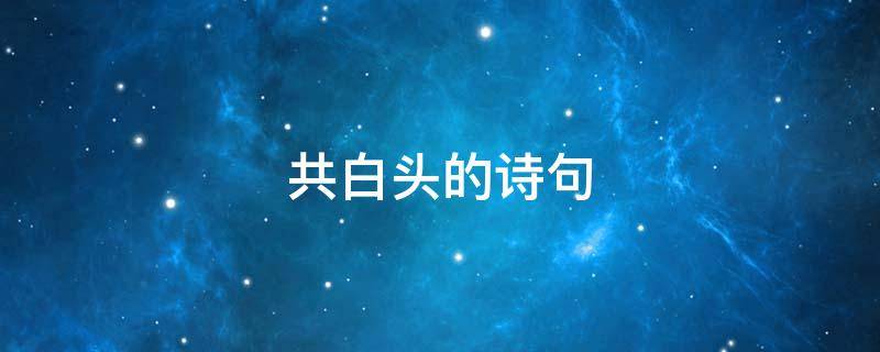 共白头的诗句 什么雪共白头的诗句