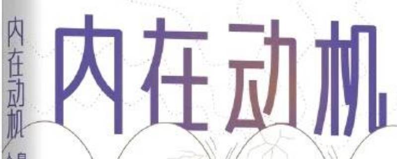 内在动机读后感（内在动机读后感200字）