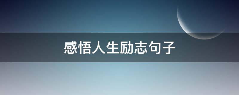 感悟人生励志句子（感悟人生励志句子图片）