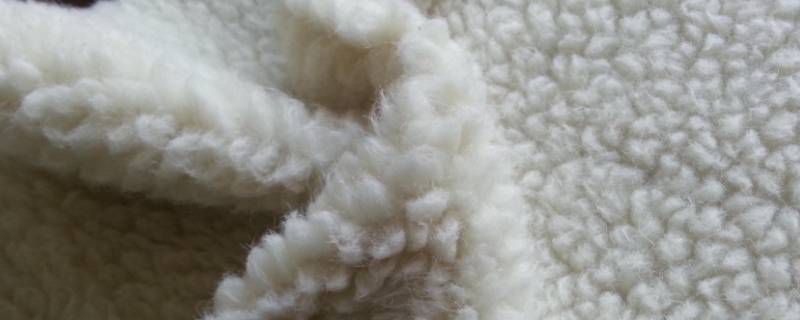 初剪羊毛和羊毛的区别（什么是初剪羊毛）