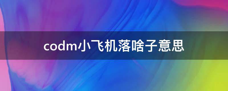 codm小飞机落啥子意思（codm 小飞机 落!codm 小飞机 落!啥意思）
