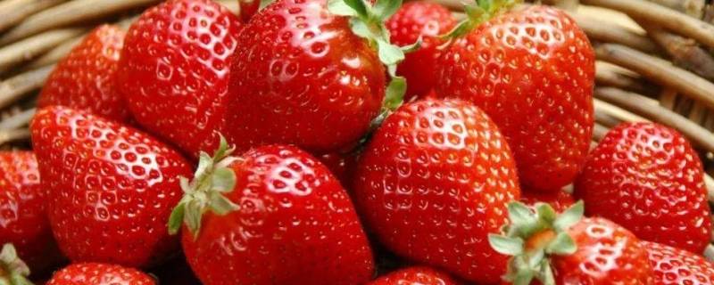 草莓食前怎样清洗 草莓食前怎样清洗好